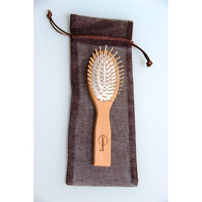 SMALL BRUSH
